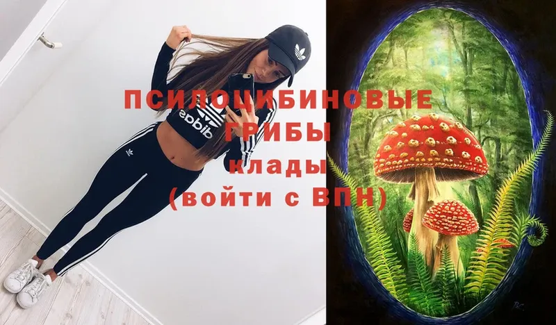 Галлюциногенные грибы Magic Shrooms  как найти наркотики  Аркадак 